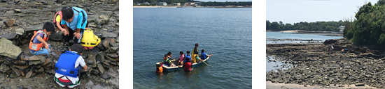 根っこの家の前の海岸